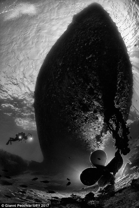 请跟随摄影师来欣赏那些你未知的海底世界，水下摄影大奖新鲜出炉(3)