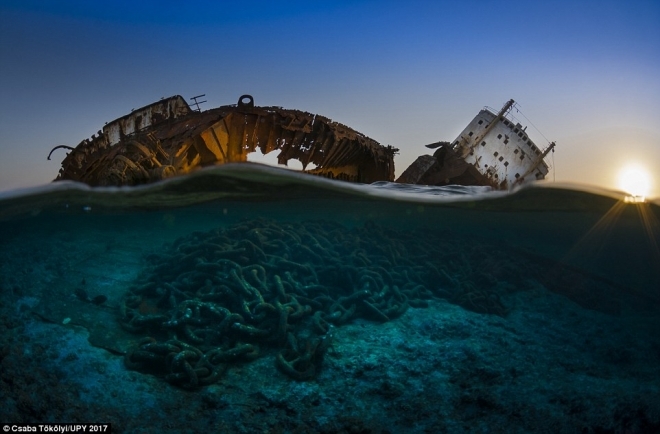 请跟随摄影师来欣赏那些你未知的海底世界，水下摄影大奖新鲜出炉(3)