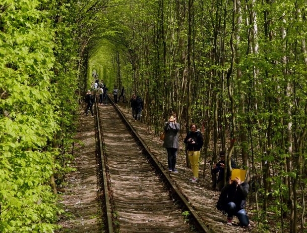 不到两公里的绿森林隧道，成欧洲情侣求爱圣地(2)