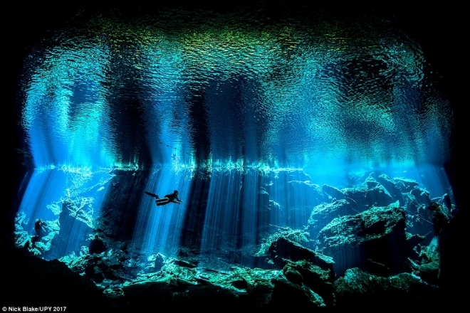 请跟随摄影师来欣赏那些你未知的海底世界，水下摄影大奖新鲜出炉(1)