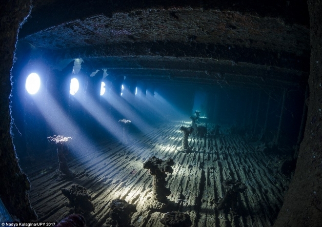请跟随摄影师来欣赏那些你未知的海底世界，水下摄影大奖新鲜出炉(6)